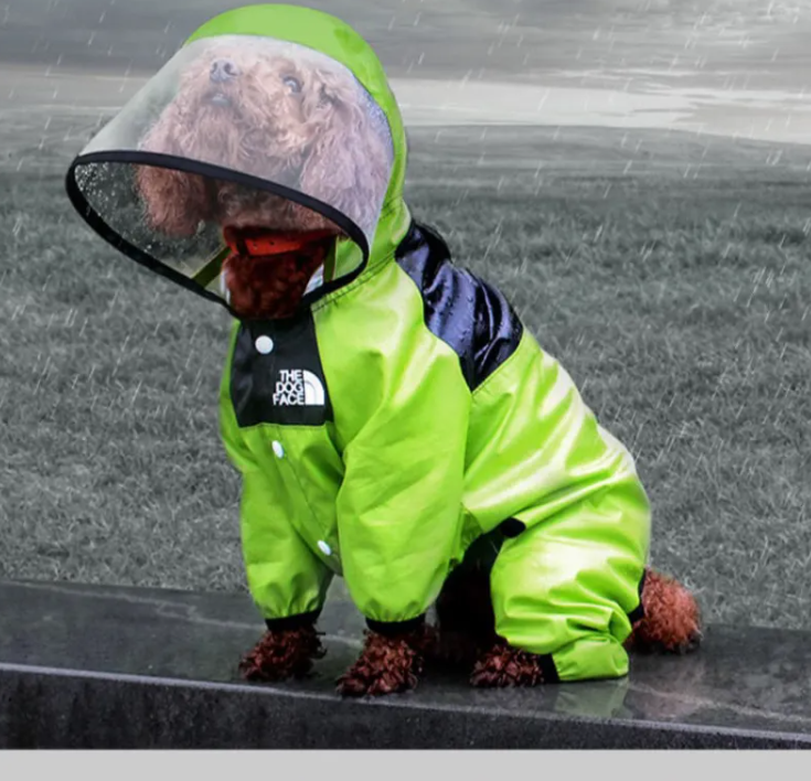 PupFlair Egyedi Esőkabát